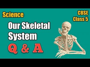 CBSE | Class 5 | Our Skeletal System | Questions and Answers