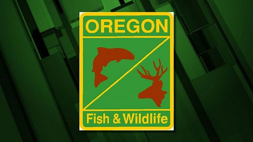 ODFW to host online public meetings for feedback on proposed changes to big game regulations