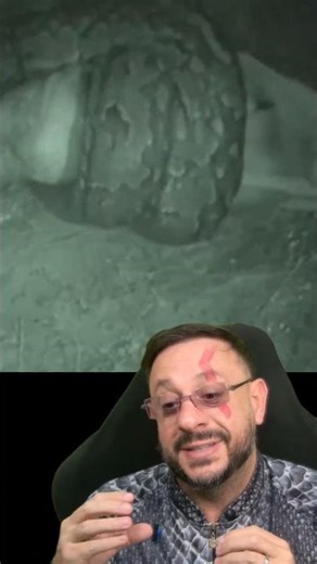 The strength of the giant python snake #biologohenrique #animals #smartanimal #biologo