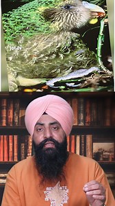 164K views · 3.4K reactions | Discover the Biggest Parrot in the World! 列"#WorldsLargestParrot #HyacinthMacaw #ParrotSpecies #BirdsOfAFeather #NatureLovers #BirdEnthusiasts #WildlifeWonders #AvianAdventures | Jot Tv Media | Facebook