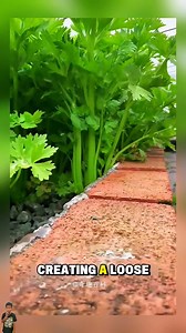 169K views · 1.3K reactions | Smart Farming Techniques That Boost Yields and Save Land #SmartFarming #InnovativeAgriculture #SustainableFarming #FarmingTips #ModernAgriculture | DR sherly | Facebook