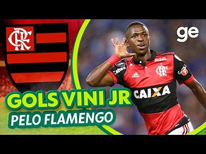 TODOS OS GOLS VINICIUS JUNIOR PELO FLAMENGO | Listas | ge.globo