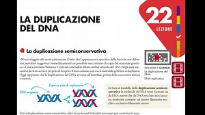 Un argomento immancabile nei test di ammissione alle facoltà di medicina e professioni sanitarie sono gli acidi nucleici: DNA e RNA, il cuore della biologia moderna. Giulia Rovelli dedica una lezione al ripasso di questa importante materia, utilizzando i manuali Unitutor. | Zanichelli