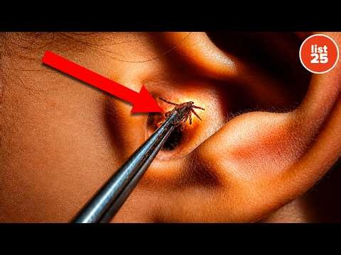 100 Facts That Will Completely Rewire Your Brain