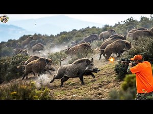 How Arizona Farmer Takes Down 101 Wild Hogs? - Spectacular Hunt That Will Keep You Catching Your Eye