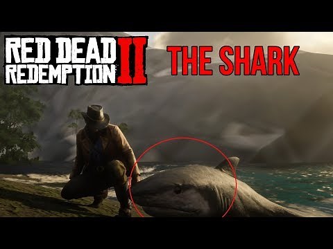 How To Find THE SHARK in Red Dead Redemption 2