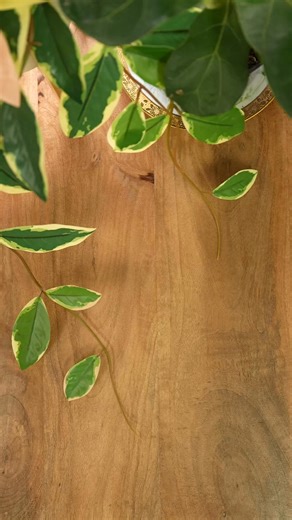 100% Grade-A Mulberry Silk yarn available now! Get 10% off your first purchase when you use coupon FIRST10 at checkout. | Bad Sheep Yarn