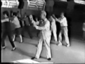Mestre Liu Pai Lin - Tai Chi Chuan - forma Longa de 108 movimentos