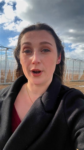 Meteorologist Catie McNeil was in Exeter today catching up with RI Grows CEO Tim Schartner. Find out how the 25-acre greenhouse is coming along on 12 News at 5! | WPRI 12