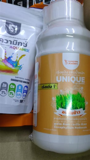 🌾 “เซตเร่งรวงข้าว ดอกดี รวงสวย ขั้วเหนียว!” 🌾✨ ช่วยให้ ✔️ เมล็ดเต่งเต็ม รวงใหญ่✔️ ข้าวออกพร้อมกัน รวงสม่ำเสมอ ✔️ ข้าวไม่ร่วง ขายได้ผลผลิตเต็มมือ! 📌 1 เซตประกอบด้วย * ยูนีค อะมิโนข้าวเร่งเต่ง ฟลูวิค คีเลต และน้ำตาลโมเลกุลเดี่ยว 500 ml * ปุ๋ยเกล็ด 0-0-60 1กิโลกรัม * อความิกซ์ จุลธาตุรวม ไวตามินพืช ขนาด 100 กรัม 🎉 โปรโมชั่นพิเศษเดือนนี้ ‼️ เซตทดลองใช้ 💰 1 เซต ปกติราคา 790บาท 🎉 พิเศษราคาเพียง 590 บาท ส่งฟรี!! เก็บปลายทาง💸 เซตขายดี 💰 2 เซต ปกติราคา 1,580บาท 🎉 พิเศษราคาเพียง 1,100 บาท ส่งฟรี!