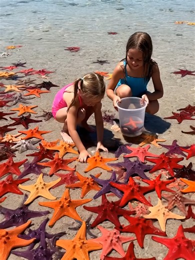 AI Technology Transforming Harvest Processes