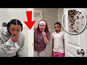 VLOGMAS DAY 7🎄 OUR HOUSE IS INFESTED WITH BUGS ...