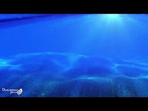 Musique de Guérison: Nettoyage , Purification, Calme le système nerveux.