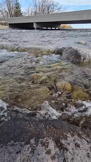 Looking for some #serenity? This is the Otter Tail River flowing out of Otter Tail Lake in Otter Tail County, MN. #lakelife #findyourinnerotter #ottertailcounty #minnesota #starofthenorth | Otter Tail Lakes Country