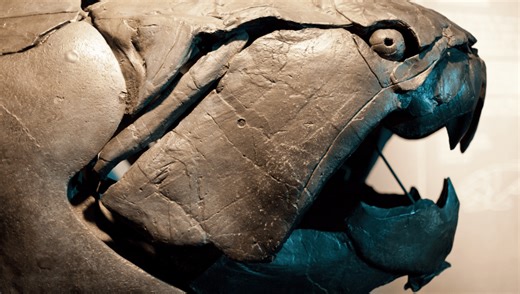 Meet Dunkleosteus, The "Cleveland Sea Monster" That Lived 360 Million Years Ago