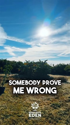 Florida Food Forests | Edible Landscapes on Instagram: ""Set your minds on things that are above, not on things that are on earth." Colossians 3:2 Gotta look past them chem trails though. Welp EPA is now confirming that what you knew and were told is crazy is now in fact, a fact. But we are in this world not of it, so we keep investing in the solution: Gods system. That means stewarding the land like we're called to do. For us, that's honoring the Creator by designing and installing food forests