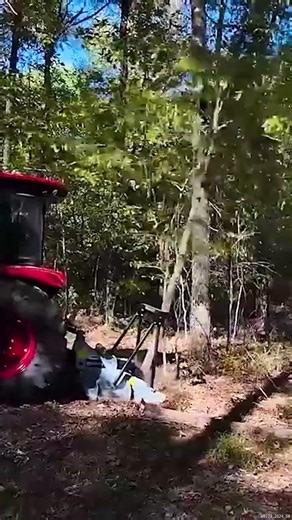 Baumalight Tractor Tree saw getting it done!