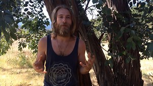 The One Herb Formula - The School of Evolutionary Herbalism