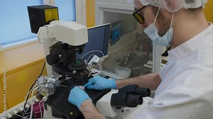 Medical doctors examining the egg fertilization process under the microscope. Inspecting the egg fertilization with medical microscope. Medical analysis of egg fertilization using a lab microscope.