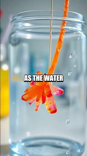 Exploring the Power of Homemade Borax Crystals