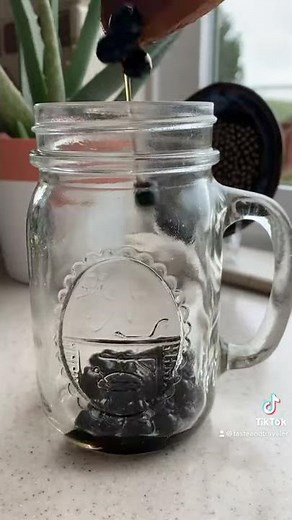 Brown Sugar Boba Tutorial (you'll save so much money!)