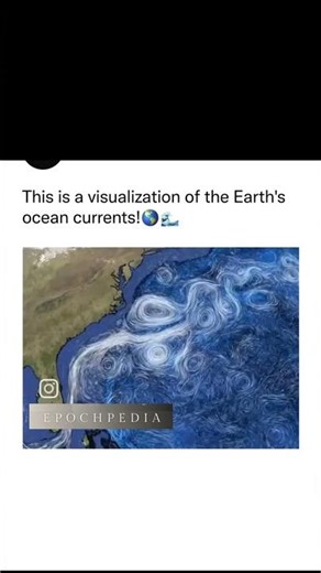 This is a visualization of Earth's ocean currents #viral #ocean #earth #oceancurrents #oceanwaves