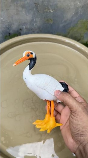White Bird satisfying cleaning asmr