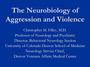PPT - The Neurobiology of Aggression and Violence PowerPoint Presentation - ID:1317840
