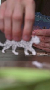 1K reactions · 77 shares | TABLETOP ALERT ⚔️ Discover ‘Nature’!  A Brand-New Standalone Board Game In The Acclaimed Evolution Series. | North Star Games | Facebook