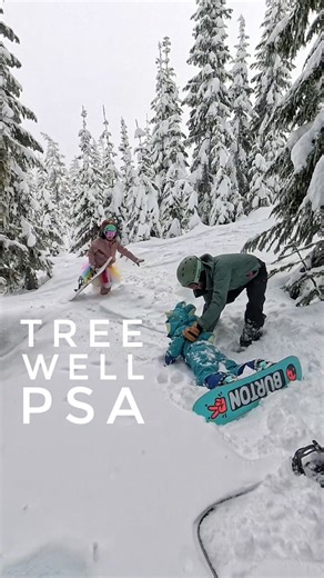 Robert & Samantha | Tree wells are a deep snow hazard that everyone who rides in the trees should be aware of. They are created when an evergreen tree has an... | Instagram