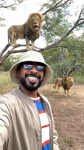 Good Simbas 🦁😱 | James GailF