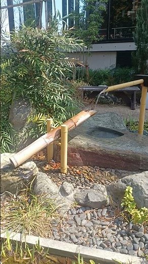 【癒しの音】東照宮の裏で見つけた鹿威し｜神玉巡りと御朱印の旅（前橋）