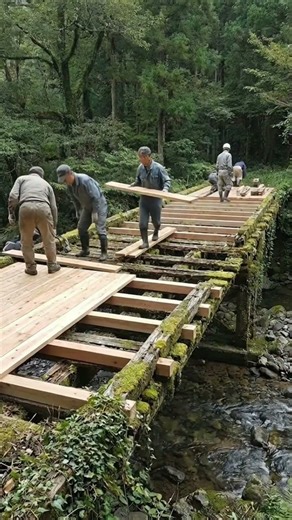 Repair and restoration of a bridge in the forest