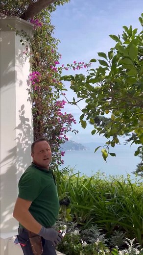 13K views · 315 reactions | Another beautiful season at the Borgo...