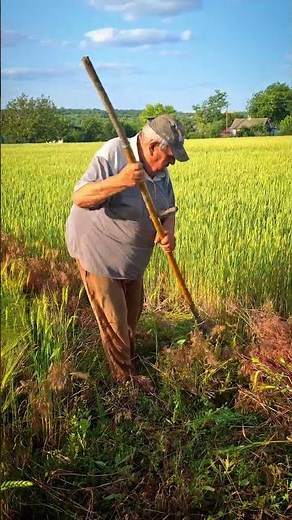 Secrets of the Old Scythemen #mowing #Scythe #ScytheSecrets #diy