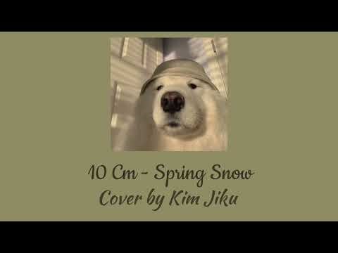 Kim Jiku (Cover) - 10CM Spring Snow (Lovely Runner OST)