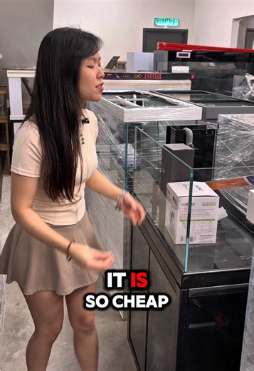 Exploring My Expensive Aquarium Tank Set-Up