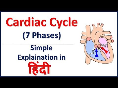 Cardiac Cycle (7 Phases)- Simple Explaination in Hindi | Bhushan Science