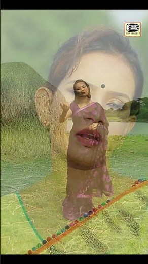 কলংকিরা ভয় করে না #shorts #muktasarkar #shortsvideo