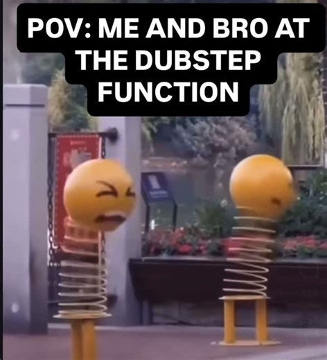 Felmax on Instagram: "Me and bro at the dubstep function #dubstep #edm #fyp #meme"