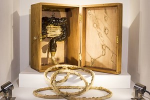 Don't Try This At Home - Anna Dumitriu