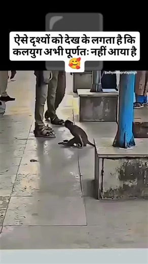 #m #bhfyp #copypaste #socialmedia #copywritersofinstagram #design #branding #viral #copier #instagood #b #nigeria #contentmarketing #smallbusiness #printing #printer #trending #bags #copyright #share #copyori #wp #notfreedelivery #dresses #swipeleft #royaltycollections #paymentvalidatesorder #dataentry #dakwah #sharingiscaring | Deepak Panchal | Facebook