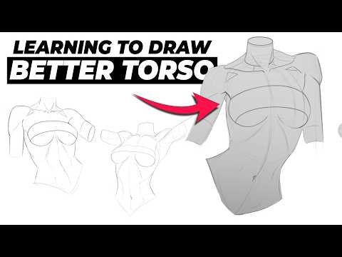 How I Learned to Draw Better Torsos in Just a Week!