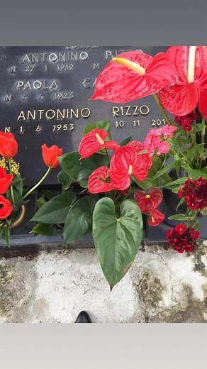 Graziella Di Palermo on Reels