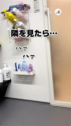 隣を見たら…🛀｜PECO