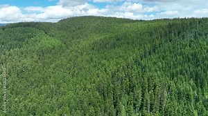 Mt. Hood rises from surrounding national forest in Oregon, not far from Portland. This impressive mountain, part of the Cascade Range in the Pacific Northwest, is a potentially active stratovolcano.