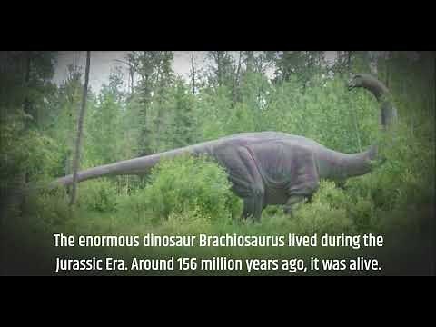 Brachiosaurus Unveiled: Exploring the Characteristics and History of the Iconic Dinosaur