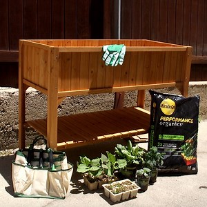 134 reactions · 61 shares | Learn how to grow your own veggies with help from Miracle-Gro – the official gardening partner of Goodful! | Tasty Home | Facebook