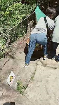 厳美渓の郭公だんご