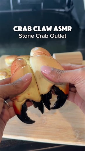 Stone Crab Season in Florida #stonecrab | Stone Crab